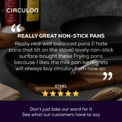 Premier Professional Twin Large Induction Frying Pan Set 25 Premier Professional Twin Large Induction Frying Pan Set -Circulon FRYINGPANS CIR PremPro Review Alt